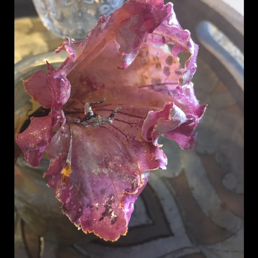African Tulip Frozen in Time with Epoxy Resin, Mica Dust and Glitter!